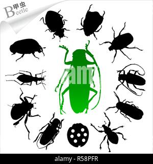 Vector Silhouettes of insect - beetles Stock Vector