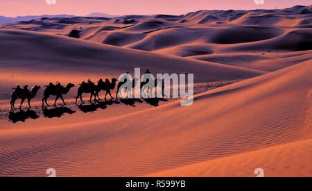 Desert at Shapotou Scenic Area, Zhongwei, Ningxia, China Stock Photo ...