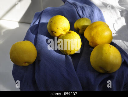 fruit still life with quince Stock Photo