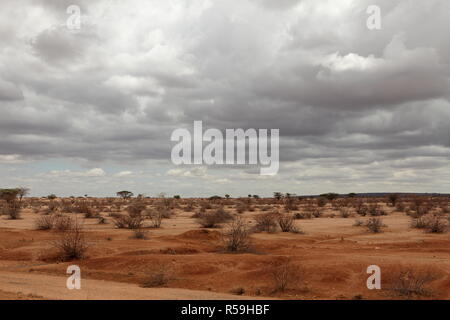 the savanna in the north of kenya Stock Photo