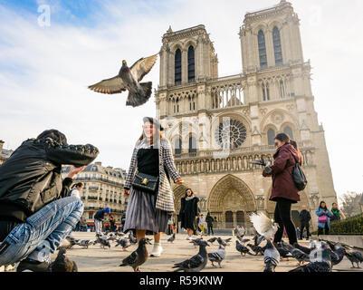 An asian tourist takes photos of his girlfriend walking amid pigeons flying off in front of Notre-Dame de Paris cathedral by a sunny autumn morning. Stock Photo