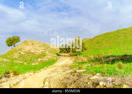 View of the Tel Megiddo National Park. Northern Israel Stock Photo