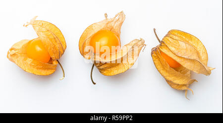 Flowers and fruits of Fisalis (Physalis peruviana) isolated on white background. Viewed from above. Stock Photo