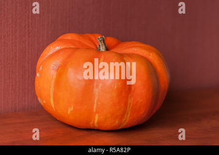 An orange pumkin is lying on a brown kitchen table, isolated on a red brown background. Stock Photo