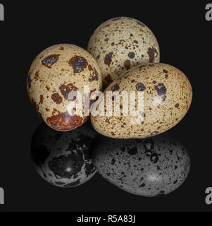 three quail eggs Stock Photo