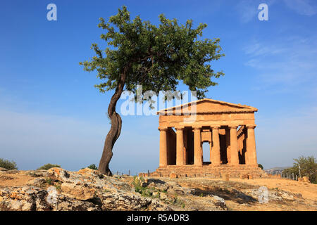 Valle dei Templi di Agrigento, Temple of Concordia with olive tree, Agrigento, Sicily, Italy Stock Photo