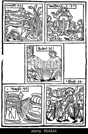 Images for the lesson about the words: lean, knowing, subtle, fine, coarse, from Ars memorativa, 1475, woodcut, Germany Stock Photo