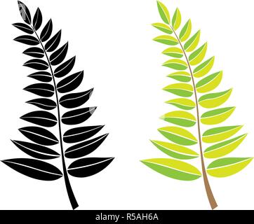 vector black and green silhouette of a branch with leaves. design element. Hand draw plant and tree branches with leaves. floral silhouettes. Stock Vector