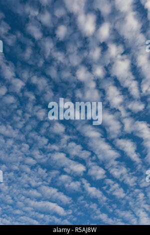 Cirrocumulus clouds against blue sky cloudscape background patte Stock Photo