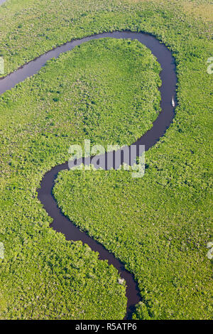 Sail boat & aerial view of rain forest, Daintree River, Daintree National Park, Queensland Australia