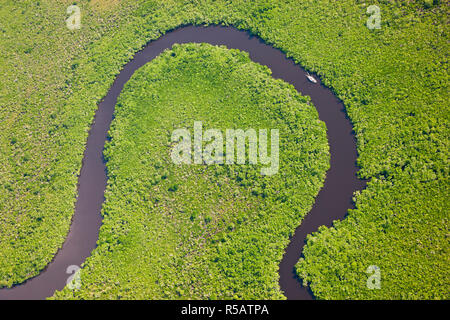 Sail boat & aerial view of rain forest, Daintree River, Daintree National Park, Queensland Australia