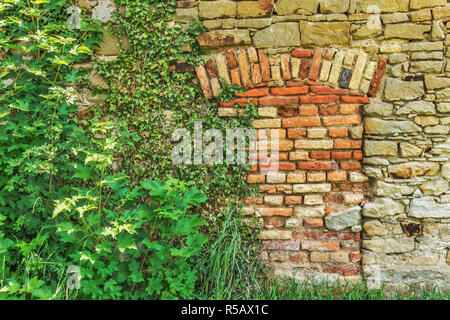 Detail view of a wall of bricks, an entrance was bricked up closed. Green plants grow on the wall. Stock Photo