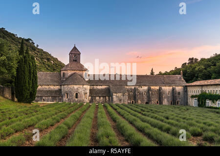 Sunset at the Notre-Dame de Sénanque Monastery at Gordes, Provence, southern France Stock Photo