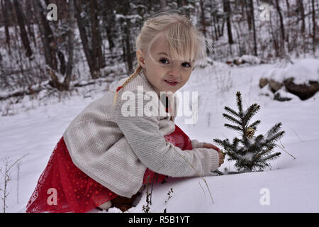 Beautiful little girl finds the spirit of Christmas by decorating an outdoor pine tree fluffed in snow Stock Photo