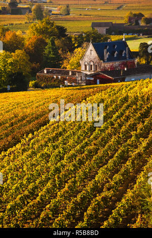 France, Aquitaine Region, Gironde Department, St-Emilion, wine town, UNESCO-listed vineyards Stock Photo