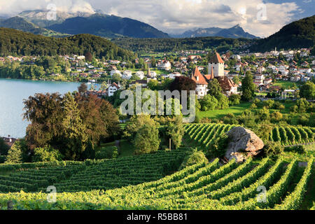 Switzerland, Bernese Oberland, Lake Thun, Spiez Castle Stock Photo