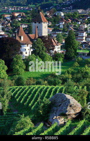 Switzerland, Bernese Oberland, Lake Thun, Spiez Castle Stock Photo