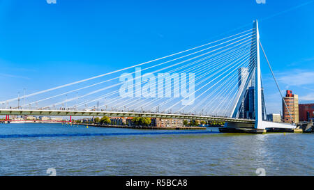 The modern Cable-Stayed Erasmus Bridge over the Nieuwe Maas River in Rotterdam in Southern Holland, the Netherlands Stock Photo