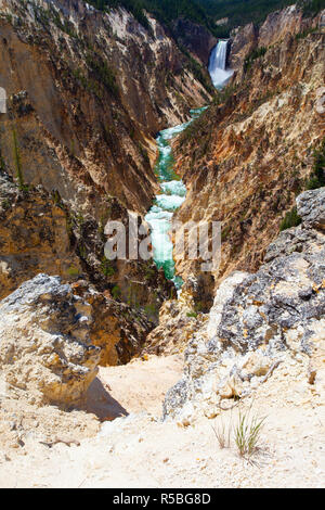 The Lower Falls of the Yellowstone River. The most popular waterfall in Yellowstone National Park, Wyoming, USA Stock Photo
