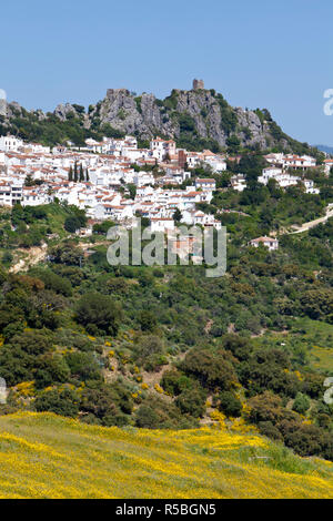The hilltop village of Gaucin & the Castillo del Aguila (Eagle's Castle), Gaucin, Malaga Province, Andalusia, Spain Stock Photo