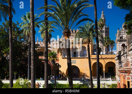 Spain, Andalucia Region, Seville Province, Seville, The Alcazar, Alcazar Gardens Stock Photo