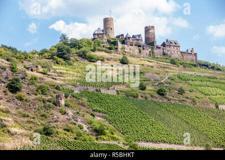 Alken, Germany.  Thurant Castle (Burg Thurant), above the Moselle.  Vineyards on Steep Hillsides. Stock Photo