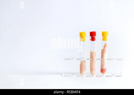 n vitro/Cultured meat. Stock Photo
