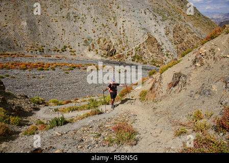 Trekking in the wild Sumdah Chenmo on the Lamayuru-Chilling trek, Ladakh, India Stock Photo