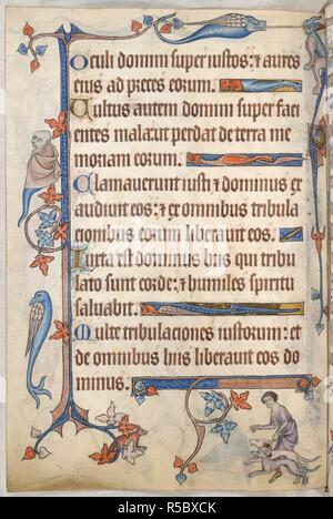 Psalm 33; fox and hounds. Luttrell Psalter. England [East Anglia]; circa 1325-1335. Whole folio. Psalm 33. Border decoration with three animal grotesques, and another with the head of a bearded man with short tail. In the lower margin, a huntsman is about to unleash two hounds after a fox who hides in the foliage of the border.  Image taken from the Luttrell Psalter.  Originally produced in England [East Anglia]; circa 1325-1335. . Source: Add. 42130, f.64v. Language: Latin. Stock Photo