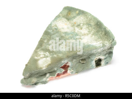 Mold growing on a piece of cake Stock Photo