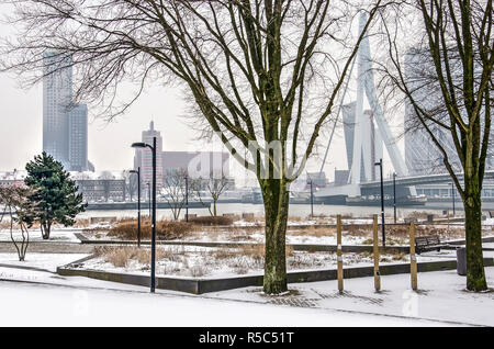 Rotterdam, The Netherlands, March 3, 2018: barren trees, flower beds and snow-covered pavement at Leuvehoofd park on a cold day in winter Stock Photo