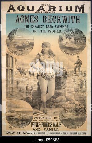 Royal Aquarium. A collection of pamphlets, handbills, and miscella. London, c. 1885. A poster for 'Agnes Beckwith the greatest lady swimmer in the world' at the Royal Aquarium, Westminster. In 1880, she trod water for 30 hours in the whale tank of the Royal Aquarium of Westminster to equal a previous record set by Matthew Webb.  Image taken from A collection of pamphlets, handbills, and miscellaneous printed matter relating to Victorian entertainment and everyday life.  Originally published/produced in London, c. 1885. . Source: EVAN.339,. Language: English. Stock Photo