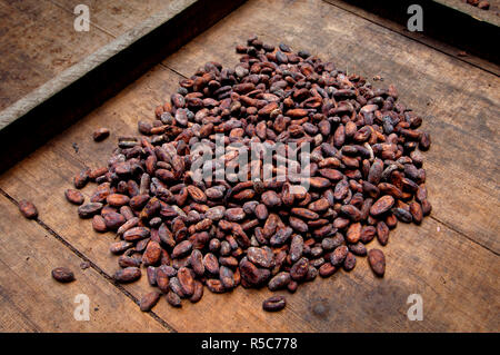 Costa Rica, La Virgen de Sarapiqui, Drying Cocoa Beans, Tirimbina Biological Reserve Stock Photo