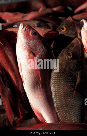 Cape Verde, Sao Vicente, Mindelo, Fish Market Stock Photo