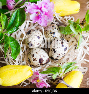 Easter Composition of Easter quail eggs in the nest with spring flowers and foliage on the wooden background. Soft focus. Stock Photo