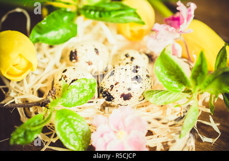 Easter Composition of Easter quail eggs in the nest with spring flowers and foliage on the wooden background. Soft focus. Stock Photo