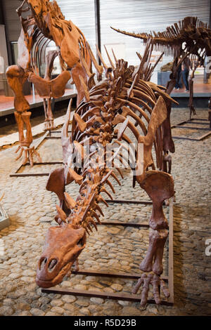 France, Languedoc-Roussillon, Aude, Esperaza, The Dinosaur Museum Stock Photo