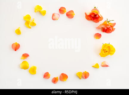Frame made of roses and rose petals, on white background. Stock Photo