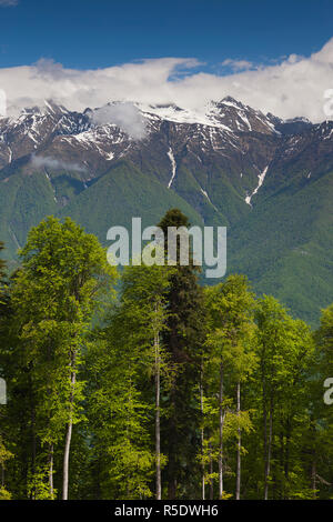 Russia, Caucasus Mountains, Sochi Area, Krasnaya Polyana, Carousel Mountain, mountain landscape Stock Photo