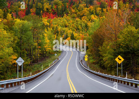 Scenic road in the mountains surrounded by vibrant Fall Color Trees. Taken in Forillon National Park, near Gaspé, Quebec, Canada. Stock Photo