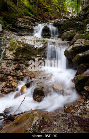 waterfall in the fold brook with oberstdorf in the allgÃ¤u Stock Photo