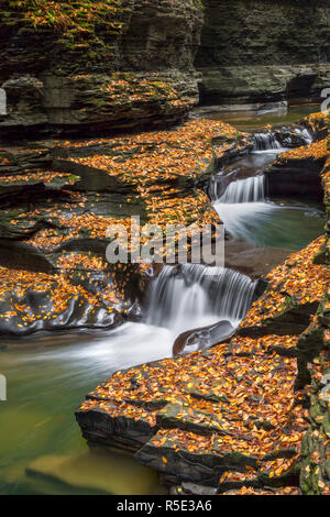 Water splashes down a rocky chute surrounded by fallen autumn leaves at Watkins Glen State Park in New York's Finger Lakes Region. Stock Photo