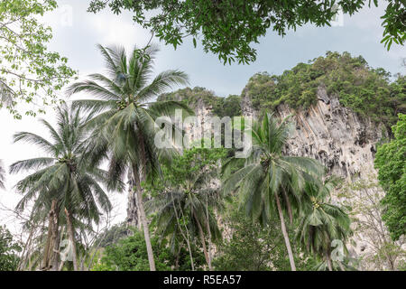 Popular travel tropical karst rocks perfect for climbing, Krabi province, Thailand