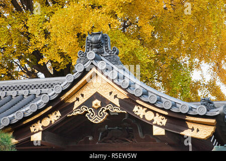 Japan, Kyoto, Nishi-Honganji Temple, Detail of Roof and Autumn Leaves Stock Photo