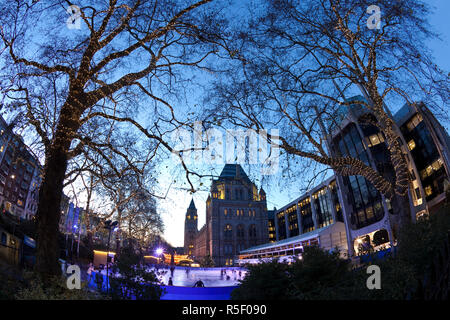 Ice rink by Natural History Museum, Exhibition Road, South Kensington, London, England Stock Photo