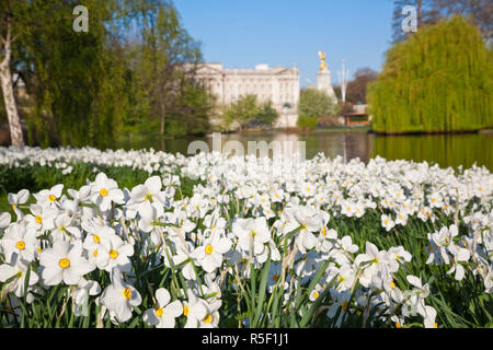 United Kingdom, London, View of Buckingham Palace from Green Park