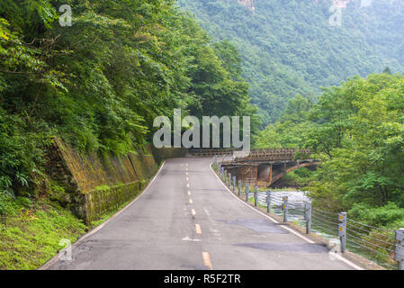 curving road with trees in a public park Stock Photo