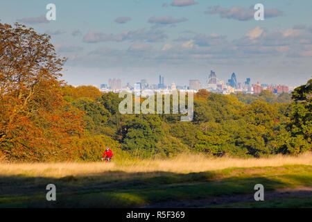 Central London skyline from Richmond Park, London, England Stock Photo