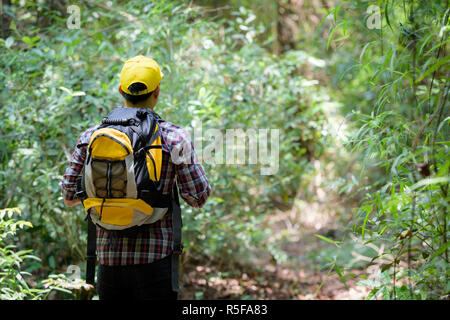 Backpackers are walking in the woods. Stock Photo