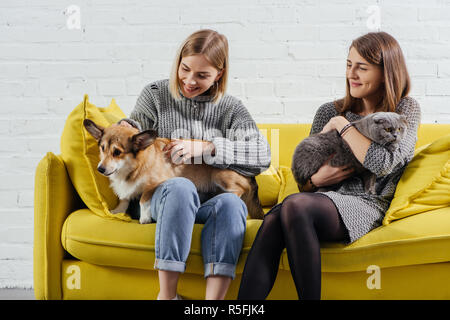 young women sitting on sofa and holding adorable pembroke welsh corgi with scottish fold cat